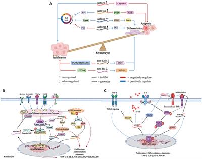 miRNAs Flowing Up and Down: The Concerto of Psoriasis